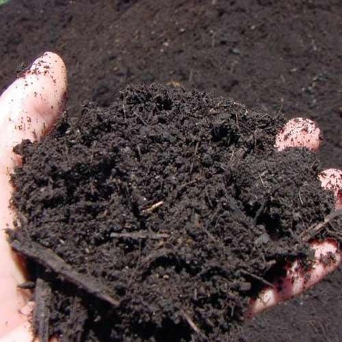 Organic Fertilizers